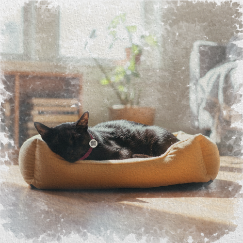 Regístrate en minutos